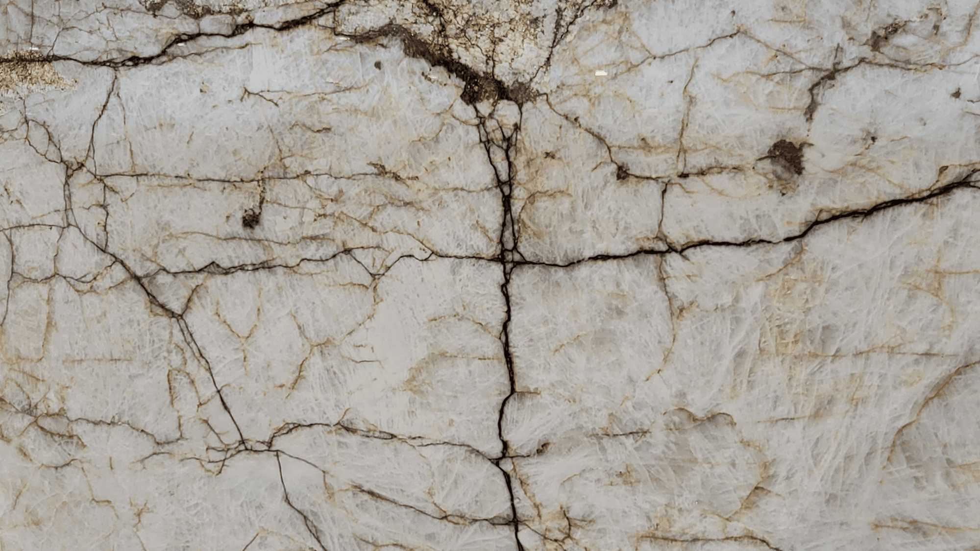 materialImage403a8b04-5ad9-4ff5-8f18-d11d0570b749