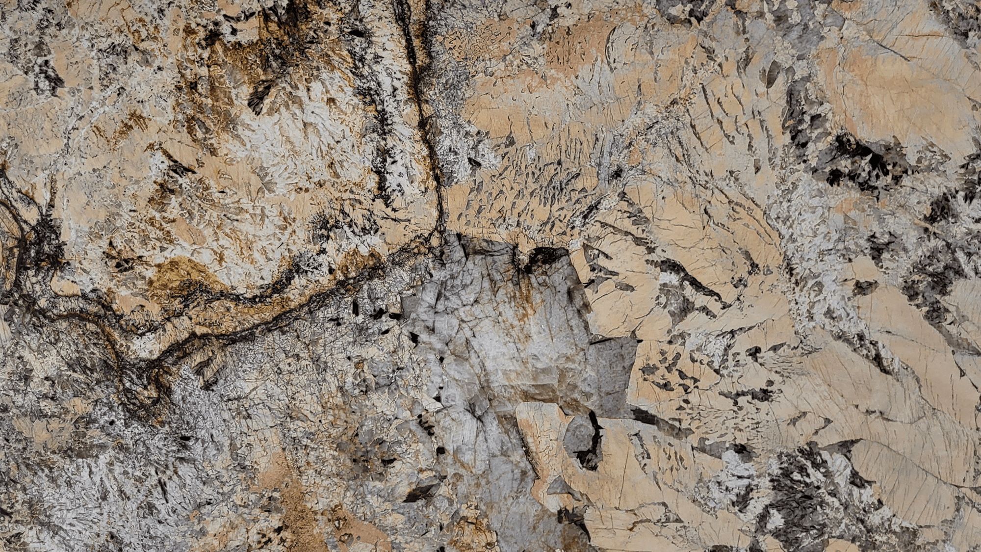 materialImage71e36c55-3433-41af-a146-5716930fa630